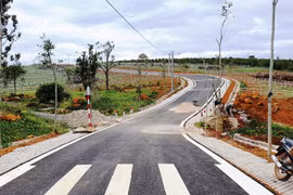 Hàng loạt lãnh đạo, nguyên lãnh đạo một số huyện, thành phố tại Lâm Đồng bị đề nghị kỷ luật