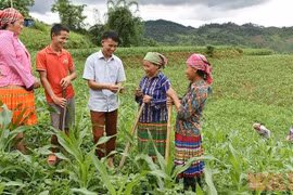 Khẳng định vai trò của đào tạo nghề, tạo việc làm trong giảm nghèo bền vững