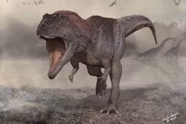 Các nhà khoa học phát hiện ra hóa thạch của loài khủng long khổng lồ "Meraxes"