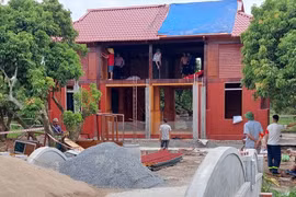 Phá dỡ nhiều công trình vi phạm tại Nông trường Quý Cao
