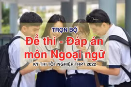 Đáp án đề thi tốt nghiệp THPT 2022 môn Tiếng Anh (tất cả các mã đề)