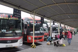 Sẵn sàng các phương án, đảm bảo nhu cầu đi lại của người dân trong dịp tết