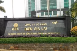 Điện Gia Lai (GEG) nợ chiếm 70% tổng tài sản, giải thể tới 2 công ty con chỉ trong một tuần