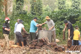 Mùa quay mật đầu xuân ở Đắk Lắk