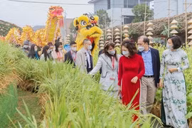 Lượng khách du lịch tăng mạnh trong dịp Tết Nhâm Dần 2022