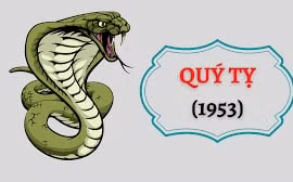 Tử vi tuổi Tỵ theo từng năm sinh