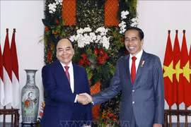 Chủ tịch nước Nguyễn Xuân Phúc hội đàm với Tổng thống Indonesia Joko Widodo