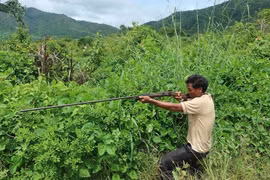 Gia Lai: Bắn nhầm người trong lúc đi săn thú rừng