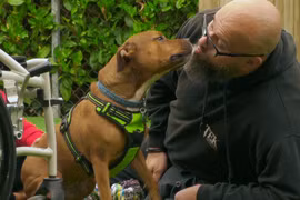 'The Dog House: UK' - hành trình tìm chủ ly kỳ của chú cún bị bỏ rơi