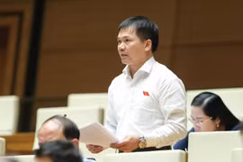 Kiểm soát chặt chẽ việc chuyển đổi mục đích sử dụng đất rừng, đất trồng lúa