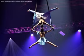 Xiếc Việt Nam giành Cúp vàng tại Festival Grenoble, Pháp