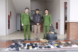 Bắt kẻ mua 75 cá thể rùa đi bán kiếm lời