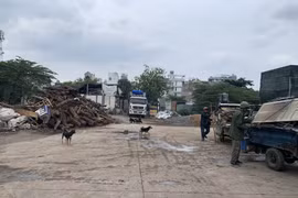 TP. Hồ Chí Minh: Đất đã được cấp chủ quyền nhưng có nguy cơ mất trắng
