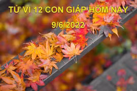 Tử vi 9/6/2022 hôm nay, thứ 5 ngày 11/5 âm lịch của 12 con giáp