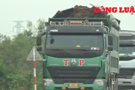 Bộ trưởng Bộ GTVT: Kiến nghị tịch thu xe quá tải trên 20%