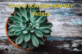 Tử vi 7/6/2022 hôm nay, thứ 3 ngày 9/5 âm lịch của 12 con giáp