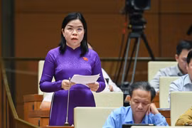 Đại biểu Quốc hội kiến nghị tăng mạnh các chế tài hình sự với hành vi xâm hại trẻ em