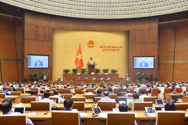 Năm 2022, chưa phát hiện trường hợp kết án oan người không có tội