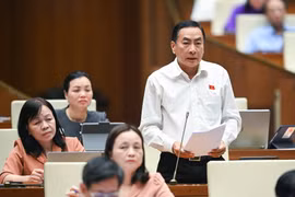 Đại biểu Quốc hội: Cần phát huy vai trò của báo chí trong công tác phòng, chống tội phạm