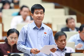Nhu cầu thu ngân sách, cạnh tranh tăng trưởng kinh tế thúc đẩy vi phạm pháp luật đất đai