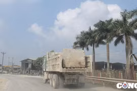 Thanh Hoá: Xe tải vi phạm tràn lan trên quốc lộ