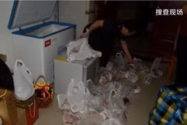 Trung Quốc: Gà “nhồi” vàng thỏi được tìm thấy trong tủ đông của một quan chức