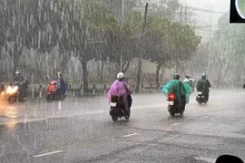 Dự báo thời tiết 1/4: Cả nước có mưa rào và rải rác có dông