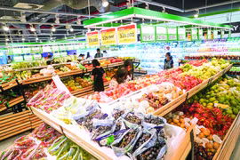 TS.Nguyễn Đình Cung: Chính phủ sẽ thành công trong việc ổn định kinh tế vĩ mô nhưng còn đó nhiều áp lực
