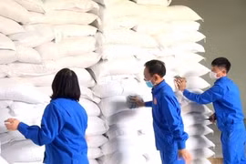 Chính phủ hỗ trợ gạo cho 3 tỉnh bị ảnh hưởng dịch COVID-19