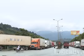 Hơn 2.300 xe chở hàng đang nằm chờ ở các cửa khẩu Lào Cai