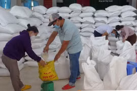 Hỗ trợ 1.868 tấn gạo cho 3 tỉnh bị ảnh hưởng dịch Covid-19