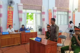 Phạt tù hơn 11 năm cho 2 đối tượng phá rừng