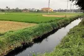 Hải Dương: Xử phạt một số doanh nghiệp vi phạm liên quan đến lĩnh vực môi trường
