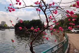 Hà Nội sắp khai trương tuyến phố đi bộ kết hợp ẩm thực Đảo Ngọc - Ngũ Xã