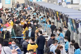 Cảnh báo tình trạng vé máy bay giả, vé không hợp lệ dịp Tết 2023