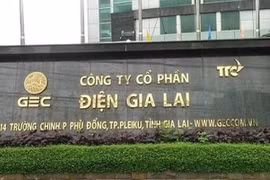 Điện Gia Lai nợ phải trả chiếm gần 70% cơ cấu nguồn vốn, bị phạt và truy thu thuế 215 triệu đồng