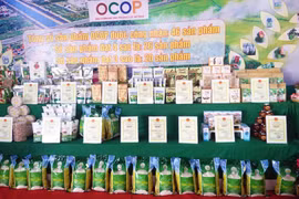 Đến năm 2025, có ít nhất 10.000 sản phẩm OCOP được công nhận đạt từ 3 sao trở lên