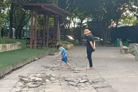 Nhiều công viên xuống cấp trầm trọng, Hà Nội thành lập Ban Chỉ đạo đầu tư xây dựng, cải tạo