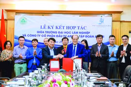 Đổi mới nâng cao chất lượng ngành nghề đào tạo, tạo ra nguồn nhân lực chất lượng đáp ứng nhu cầu xã hội