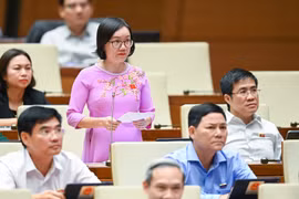 Thí điểm đấu giá biển số xe ô tô: Nên giới hạn phạm vi tại một số tỉnh?