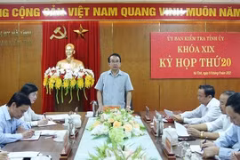 Hà Tĩnh: Kỷ luật một số đảng viên vi phạm làm ảnh hưởng đến uy tín của tổ chức Đảng