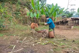 Hoà Bình giám sát Chương trình MTQG giảm nghèo bền vững