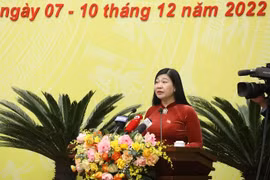 Cử tri lo lắng tác động tiêu cực của thị trường chứng khoán, bất động sản, trái phiếu doanh nghiệp