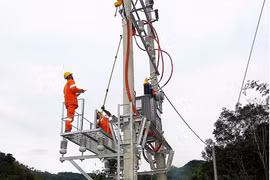 Xuân này bản ta có điện