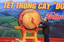 Chủ tịch nước Nguyễn Xuân Phúc phát động Tết trồng cây Xuân Nhâm Dần