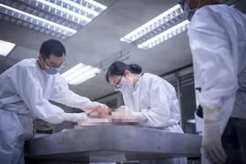 Đề nghị lương khởi điểm bậc 2 cho bác sĩ, dược sĩ, bác sĩ y học dự phòng