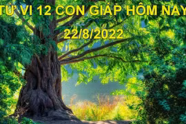 Tử vi hôm nay 22/8/2022, thứ 2 ngày 25/7 âm lịch của 12 con giáp