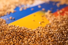 EU nên mua ngũ cốc của Ukraine chia cho các nước có nhu cầu