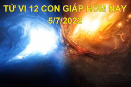 Tử vi 5/7/2022 hôm nay, thứ 3 ngày 7/6 âm lịch của 12 con giáp