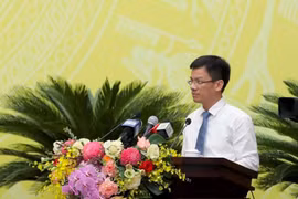 Cần có chế tài phù hợp xử lý các trường hợp gây nhiễu loạn đấu giá thị trường bất động sản